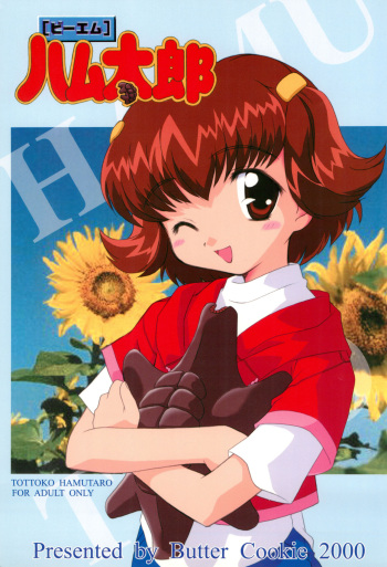 BM HAMTARO cover