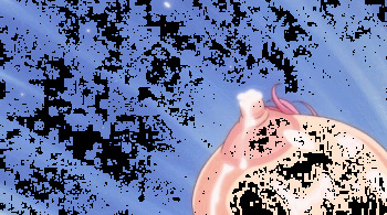 Lactating Tits Gifs cover