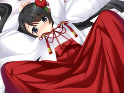 Heroines Destruction Project
