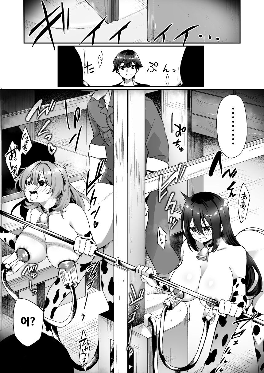TS Sakunyuu Ikimakuri Seikatsu! | TS 착유로 가버리는 성생활! page 4 full