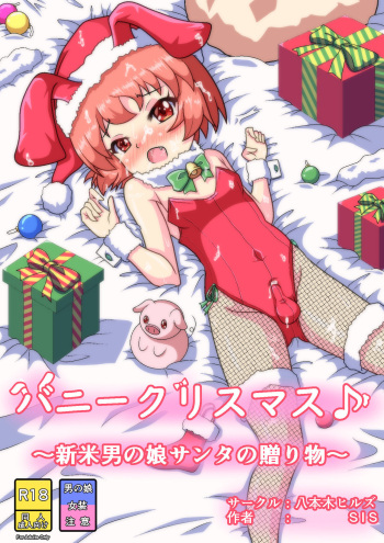 バニークリスマス♪ ～新米男の娘サンタの贈り物～ cover