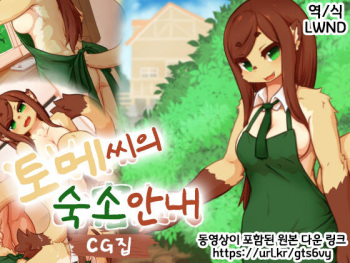 Tome-san no Oyado Annai CG Shuu | 토메 씨의 숙소 안내 CG집 cover