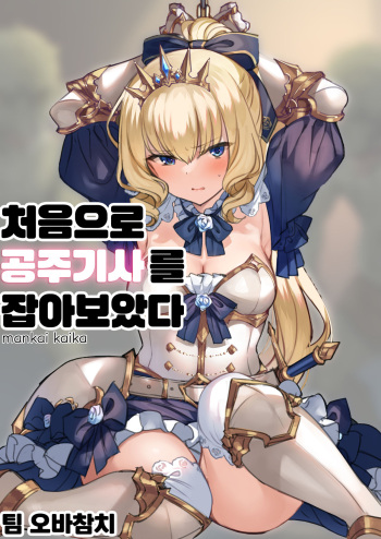Hajimete Hime Kishi o Tsukamaete mita | 처음으로 공주기사를 잡아보았다 cover