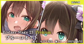 Ecstasy Stage 23 Premium Blue Connect cover