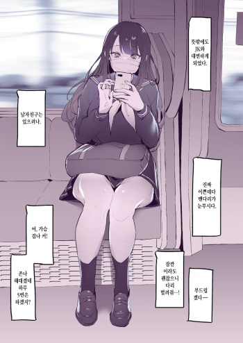 Misetsuke cover