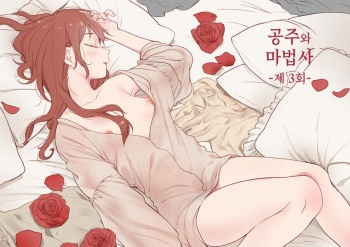 Princess and wizard / 공주와 마법사 3화 cover