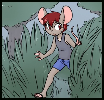 The Lake cover