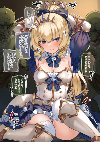 Hajimete Hime Kishi o Tsukamaete mita cover