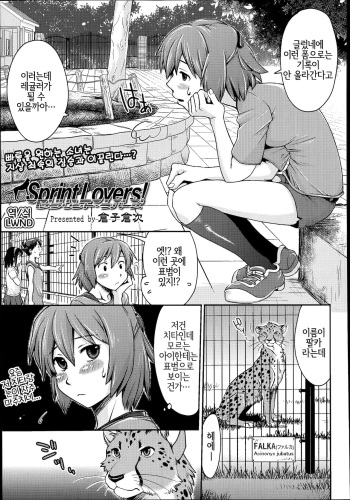 Sprint Lovers! cover