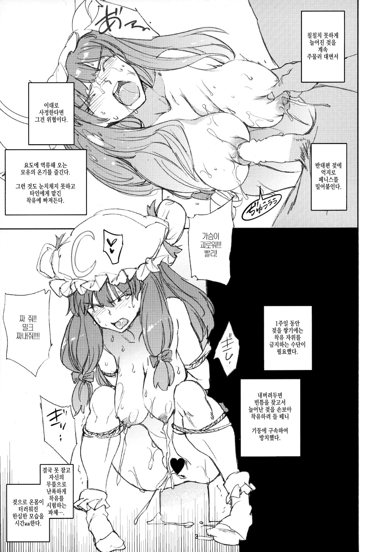 PSR | PSR ~파츄리 사쿠야 레이무~ page 5 full