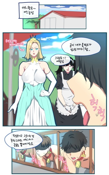 Maid cover