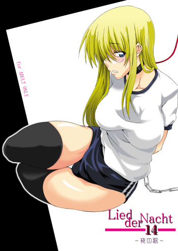 Lied der Nacht 14 ~Yoru no Uta~ cover