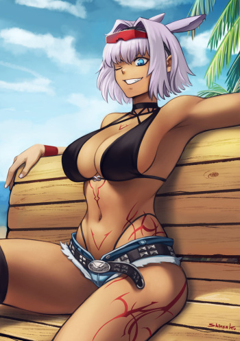 Caenis Summer Rider - FGO cover
