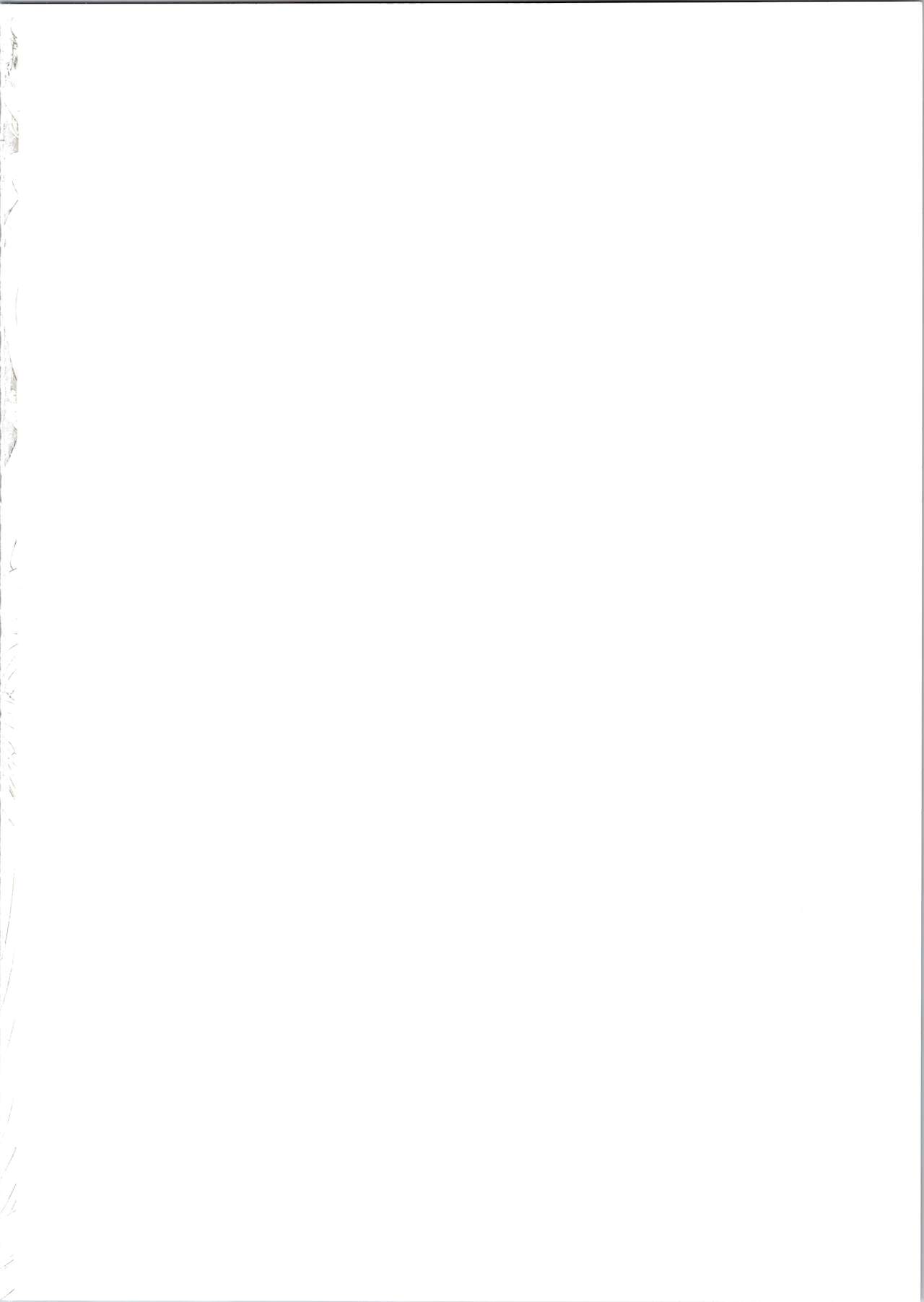 Sailor Delivery &amp; AV Kikaku Soushuuhen page 2 full