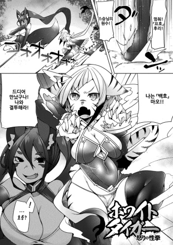 White Tiger Ikari no Seikyo cover