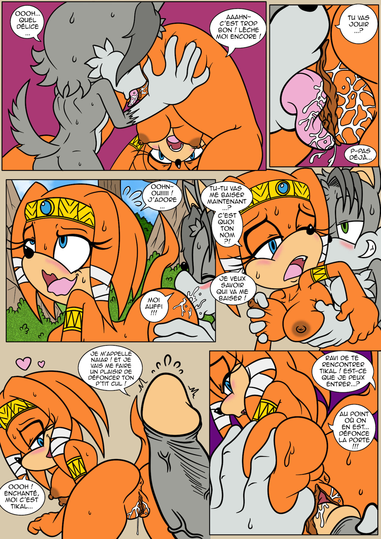 Naiar's Misadventures - Chapitre 1 - Tikal the Echidna  FRANCAIS page 4 full