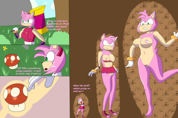 Amy's exploration cover