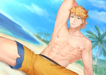 Vane Summer cover