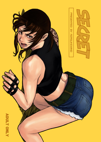 SECRET cover
