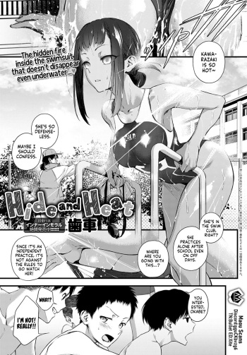 Hide and Heat cover