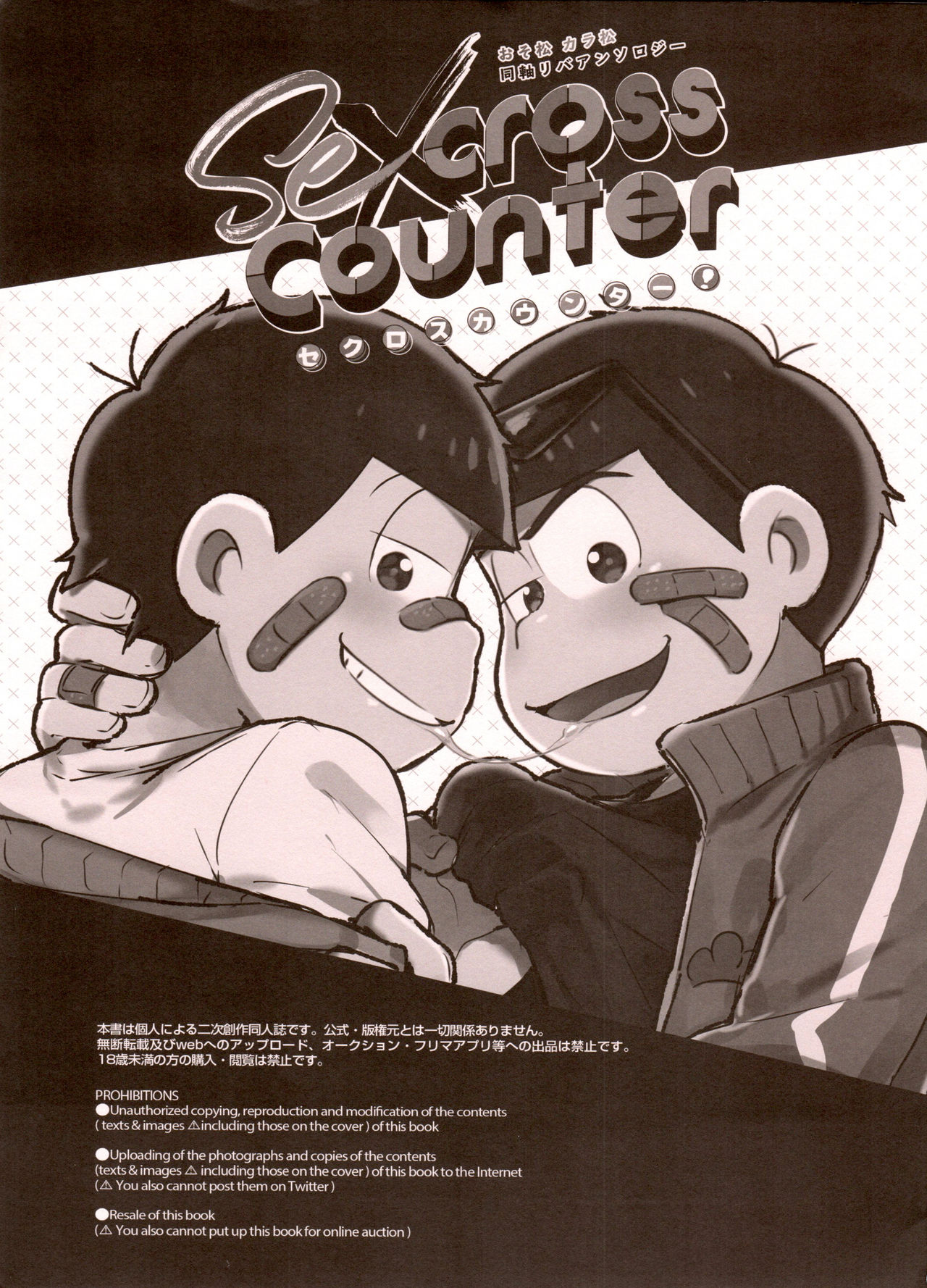Secross counter! page 3 full