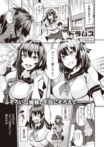 Dual Swap cover