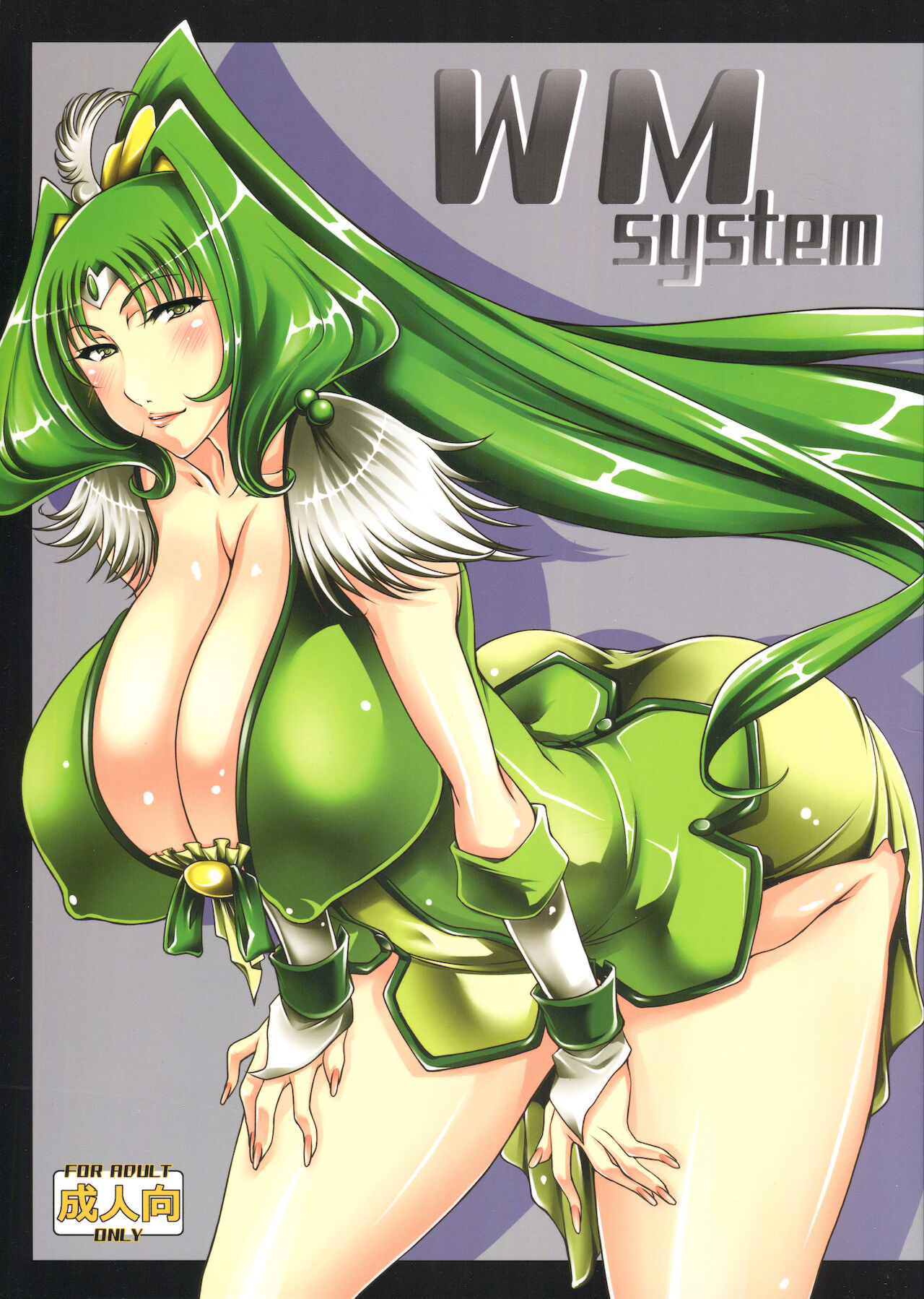 WM System page 1 full