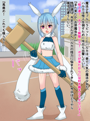 Bunny mahou shounen Haruka iinari choukyou ~ kutsujoku no onapetto-ka ~ cover