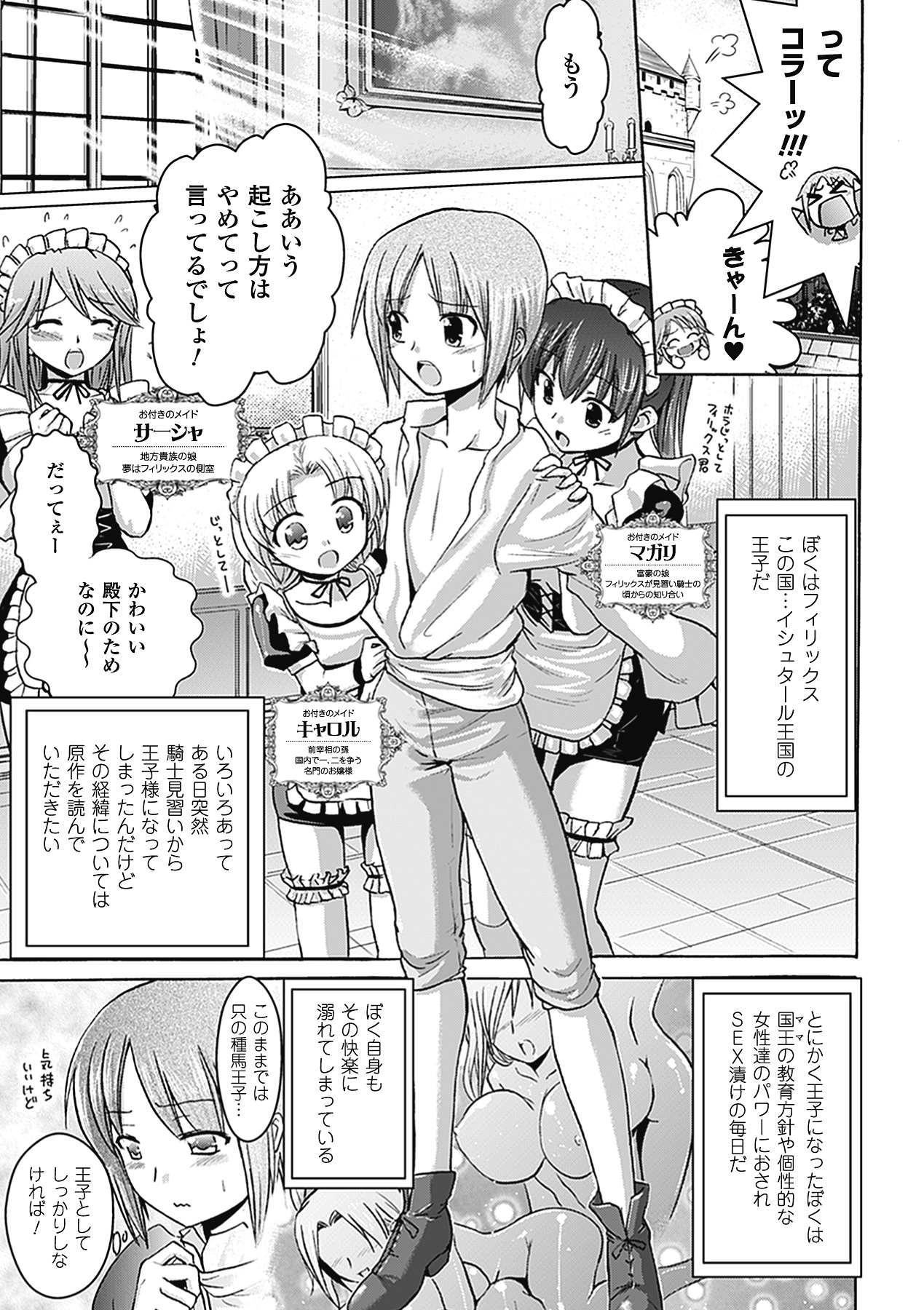 Harem Castle - The Beautiful Days page 9 full
