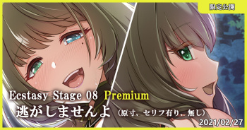 Ecstasy Stage 08 Premium Nigashimasen yo cover