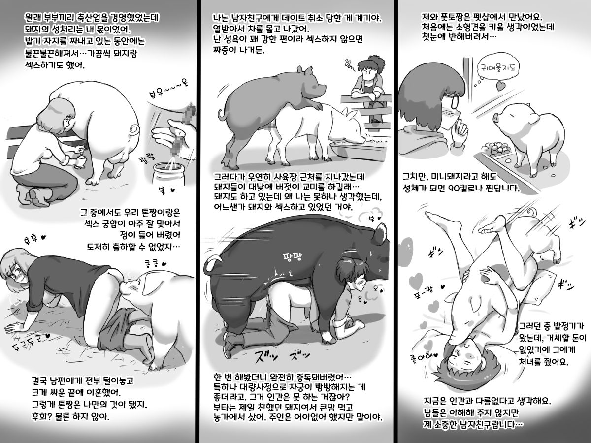 Doubutsu Noujou - 3-biki no Kobuta-chan Hen | 동물농장 - 아기돼지 3마리 편 page 8 full
