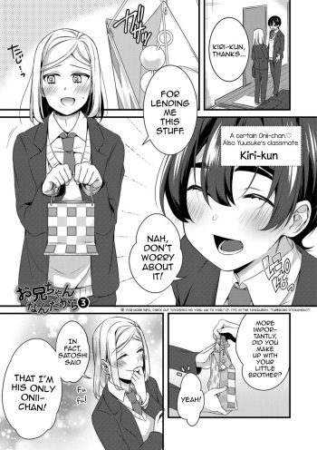 Onii-chan nan dakara 3 cover