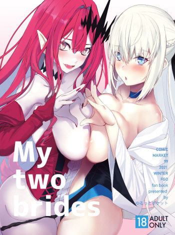 My Two Brides cover