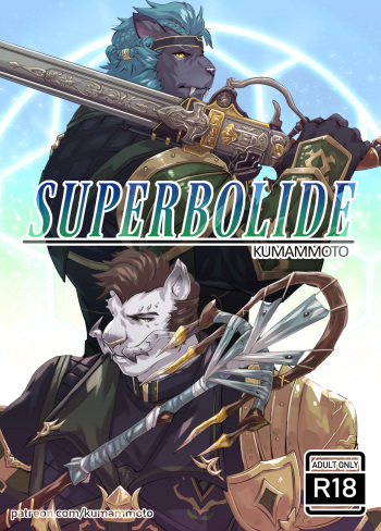 Superbolide cover