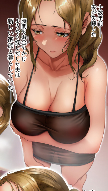 夫を十数年探し続けた女 cover