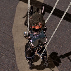 Latex Ponygirl training page 2 full