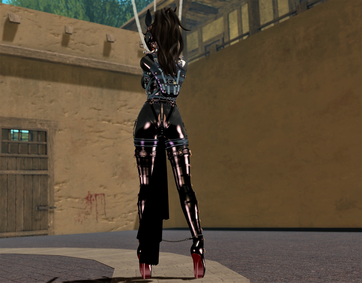 Latex Ponygirl training page 8 full