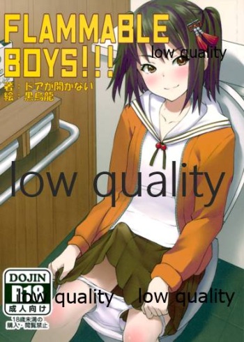 FLAMMABLE BOYS!!! cover