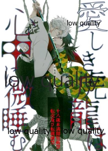 愛しき虎龍は心中に微睡む cover
