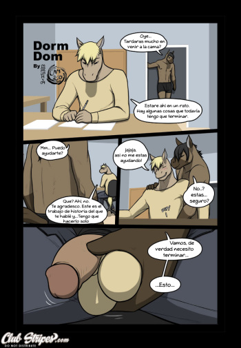 Dorm Dom cover