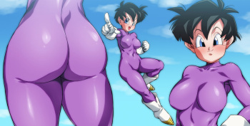 Videl-san cover
