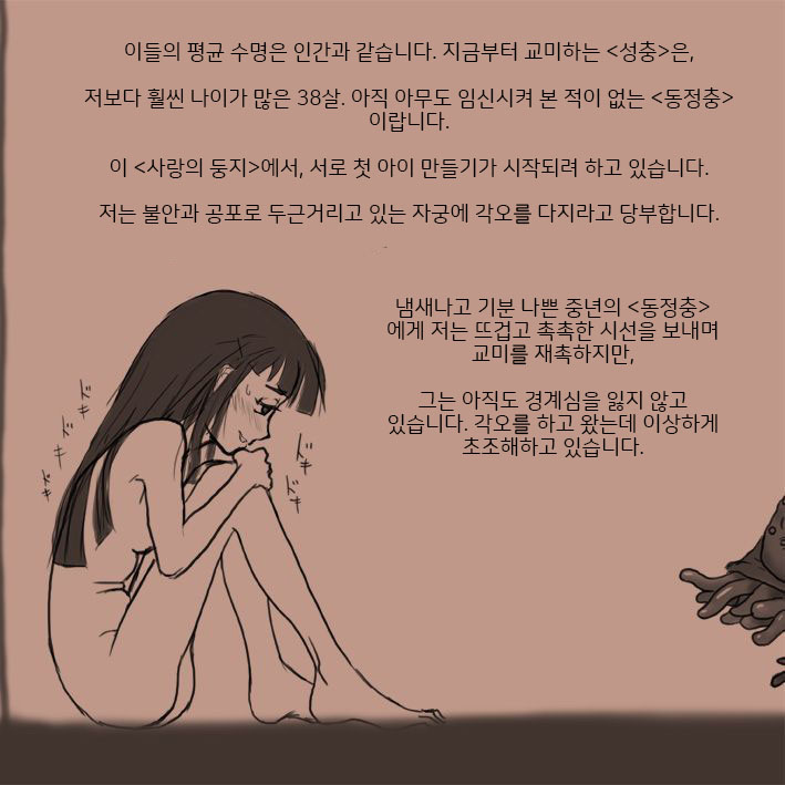 적응교배 page 6 full