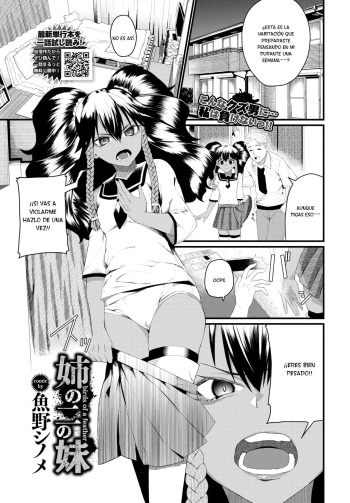 Ane no Ni no Imouto cover