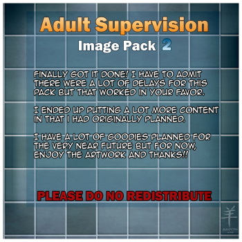 Adult Supervision 2 cover
