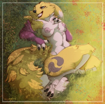 ARTIST Nitani cover