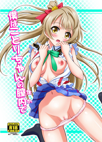 Boku wa Kotori-chan no Naka de cover