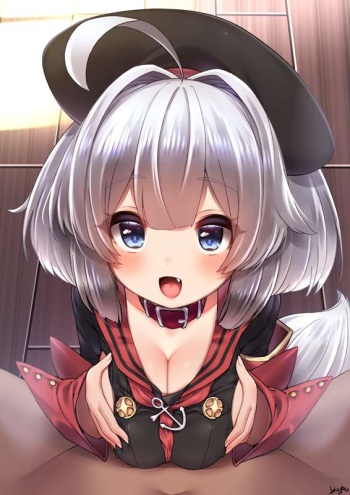 Z28 Paizuri cover