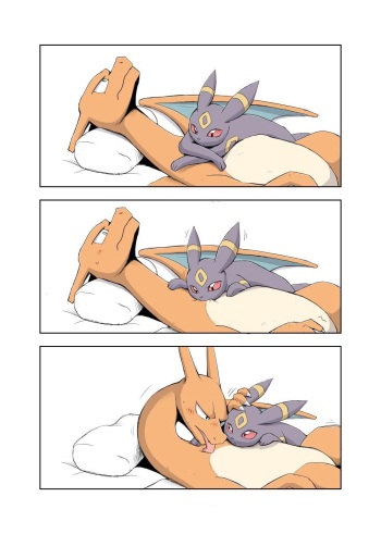 Charizard x Umbreon cover