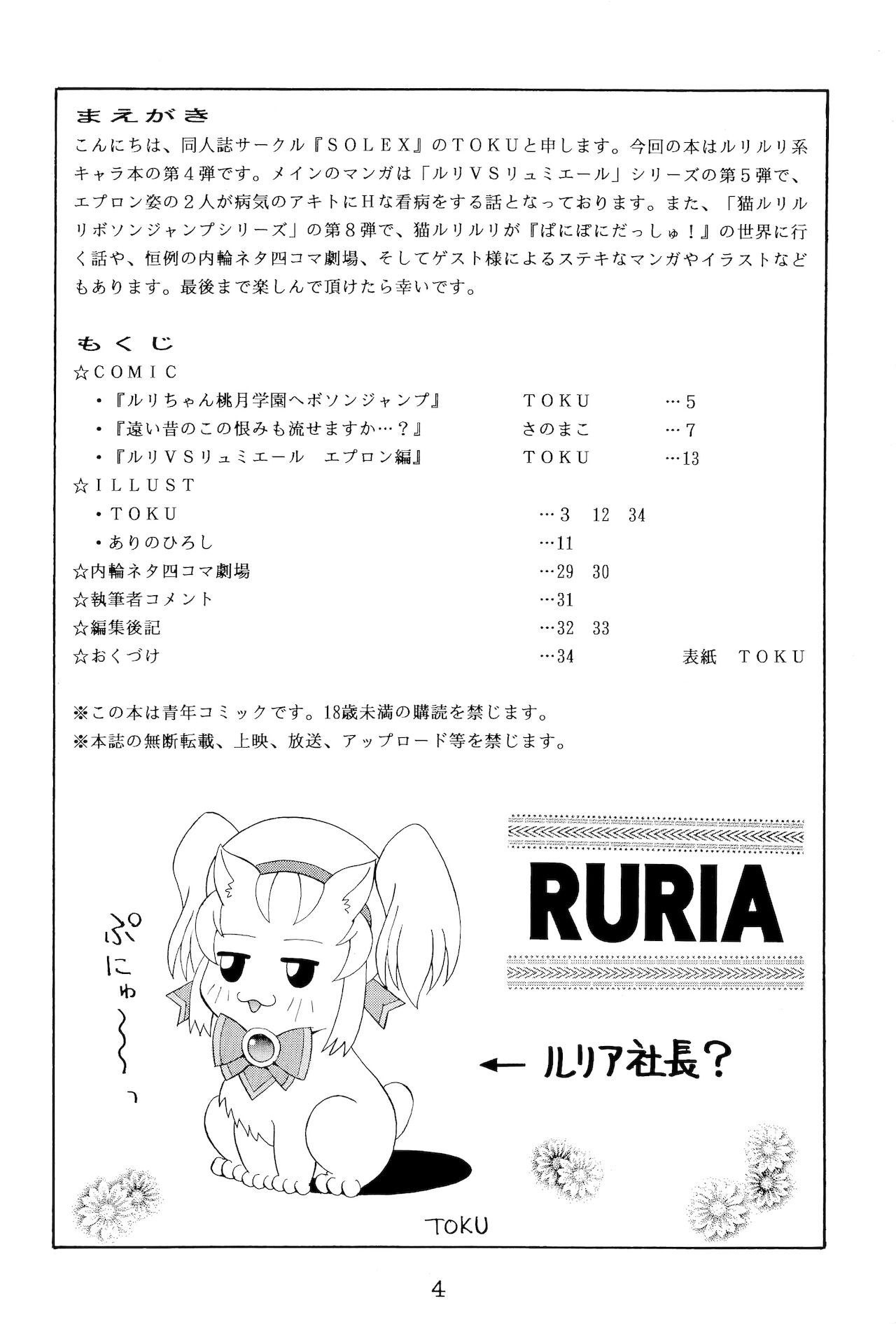 RURIMIX SP4 page 3 full