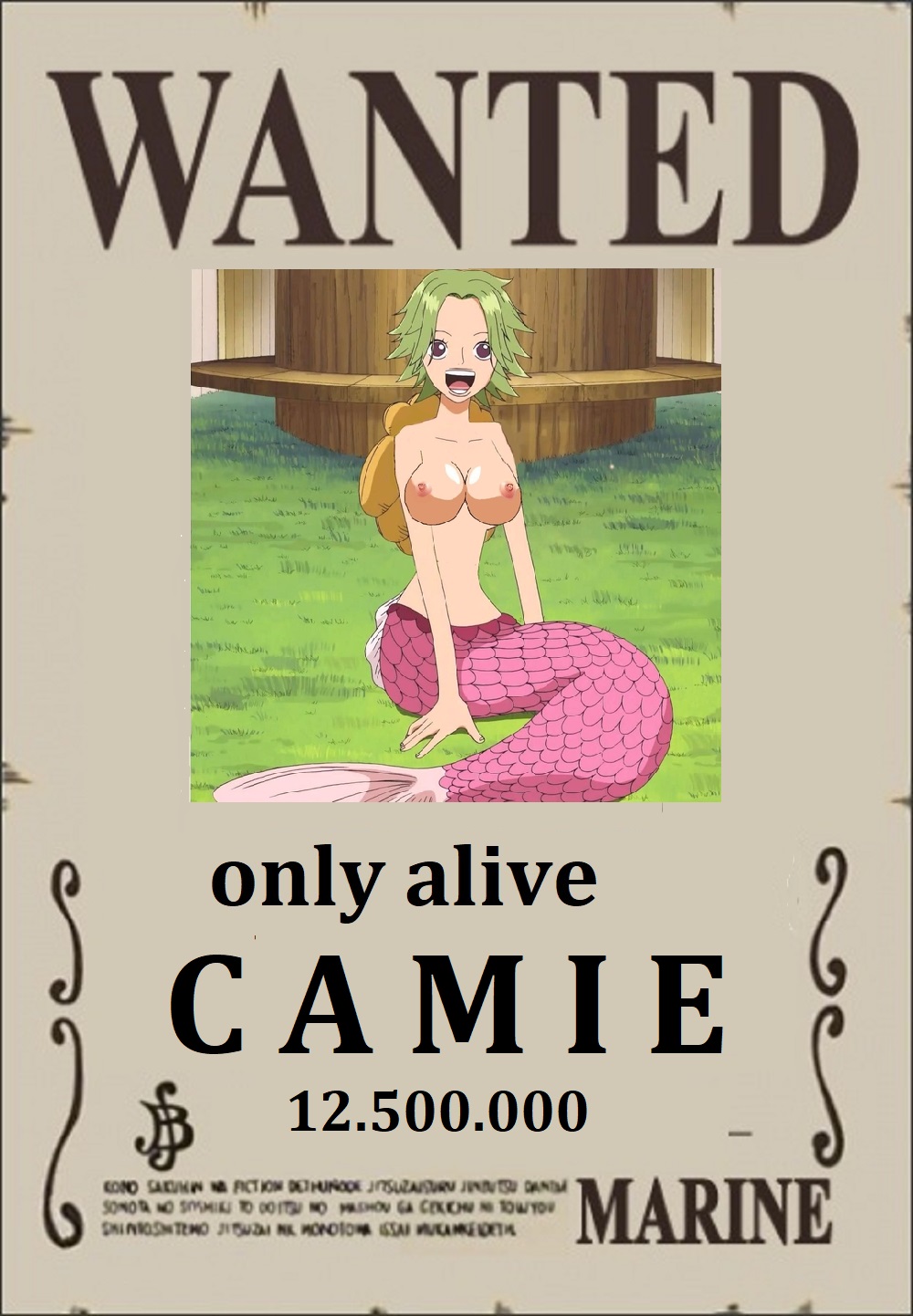 One Piece XXX Steckbriefe page 4 full